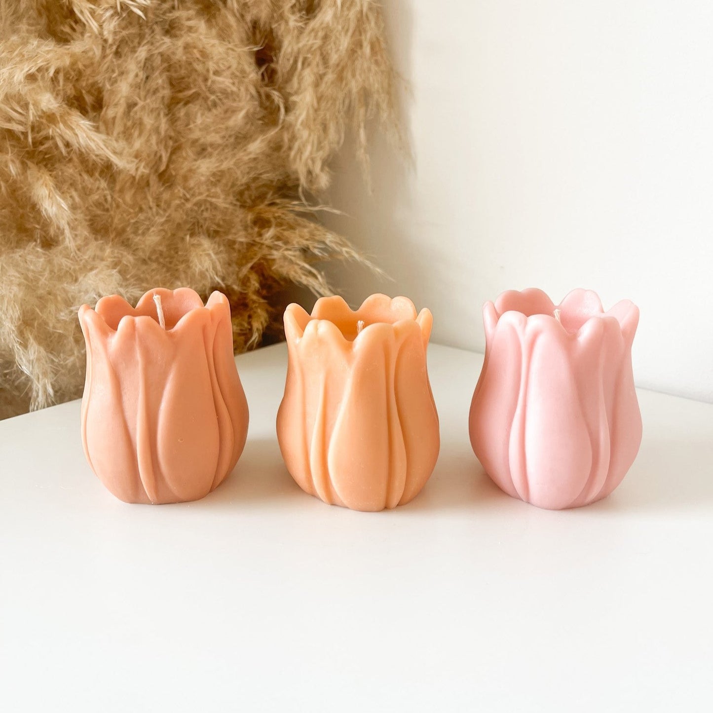 Tulip