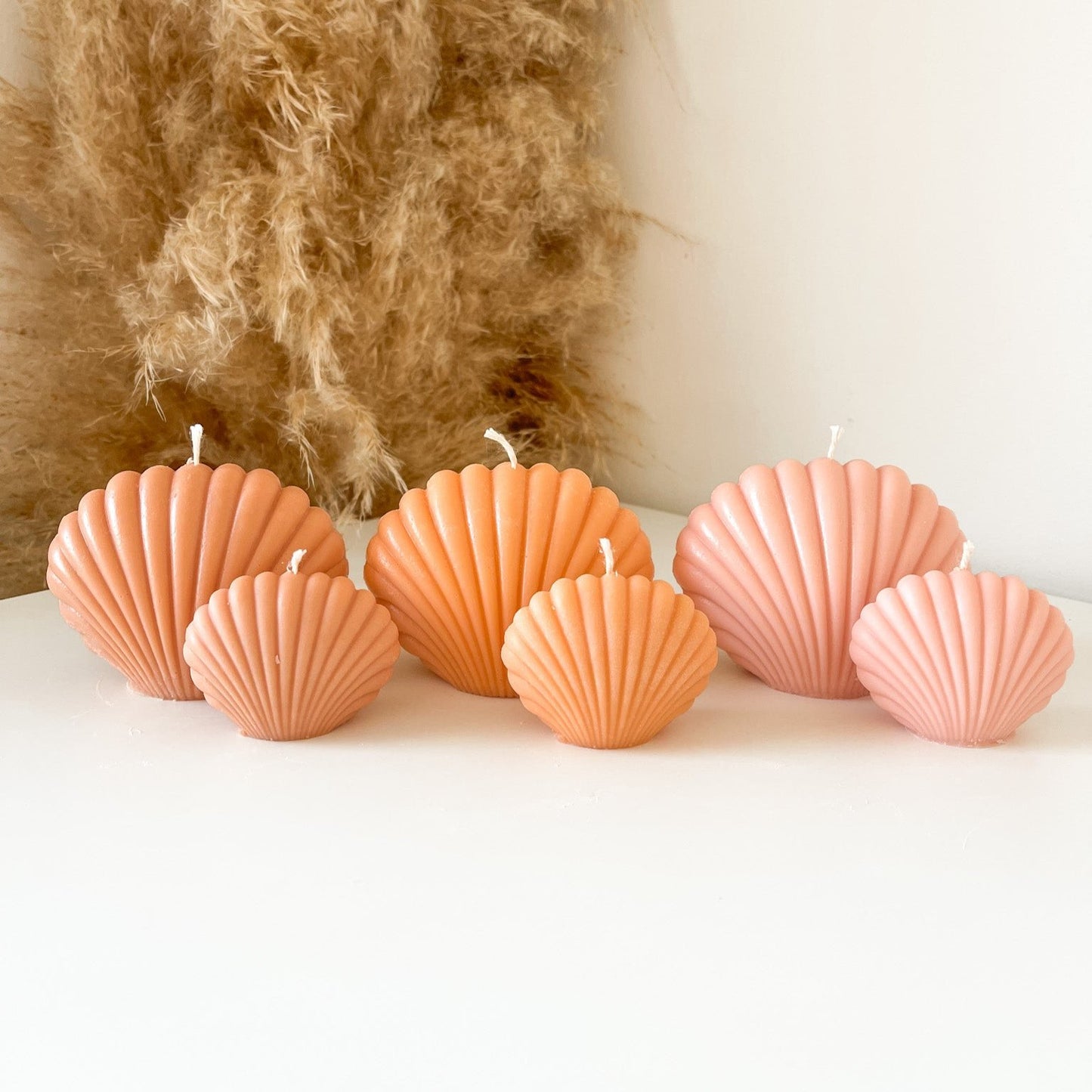 Seashell (Single or Pairs)