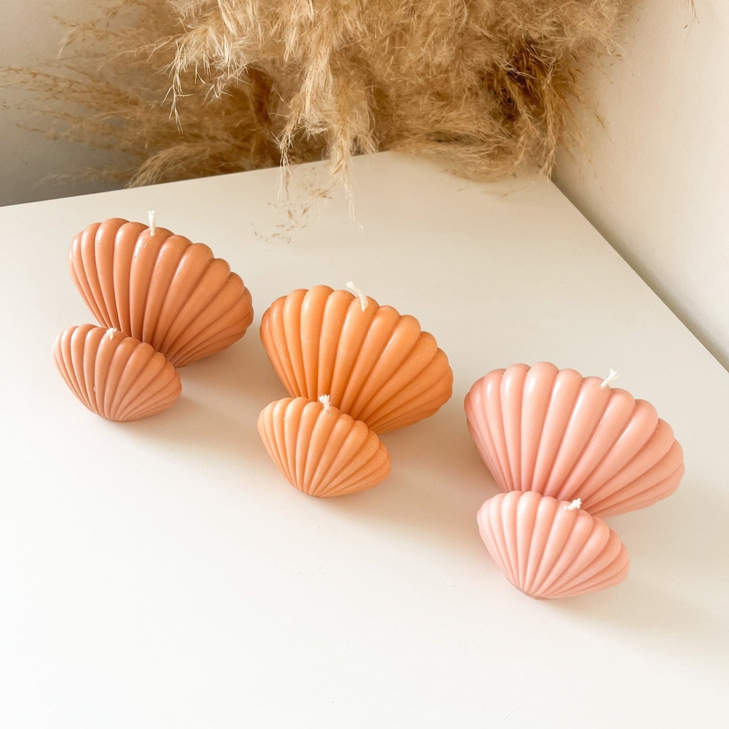 Seashell (Single or Pairs)
