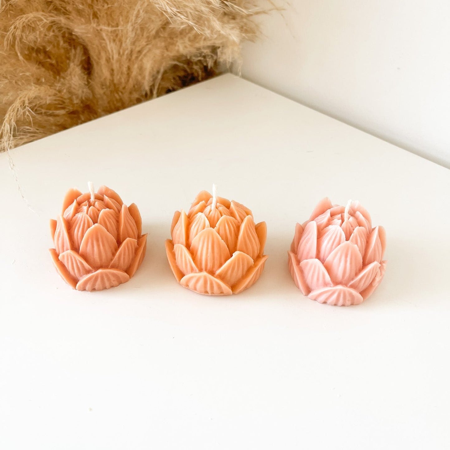 Lotus Flower
