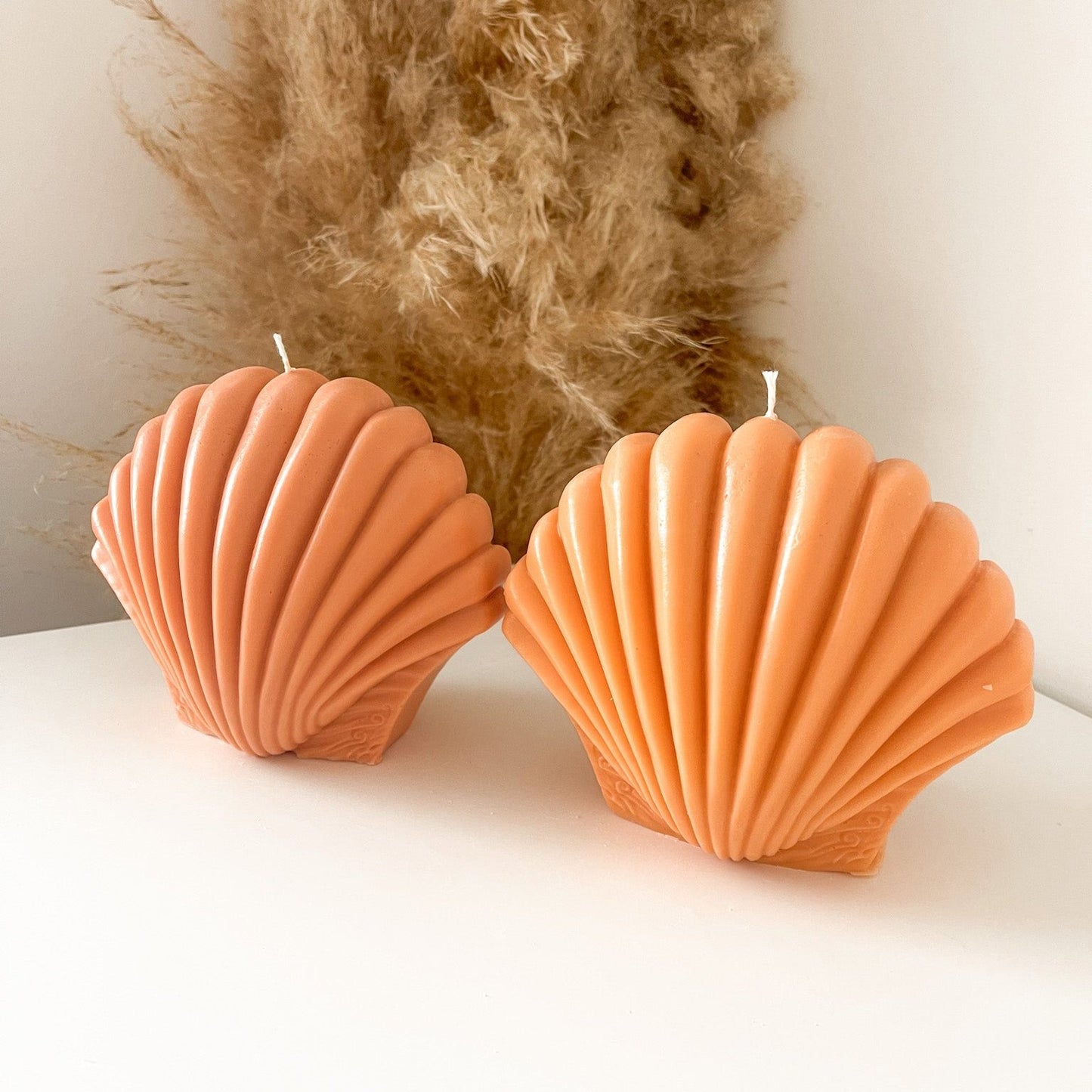 XL Shell