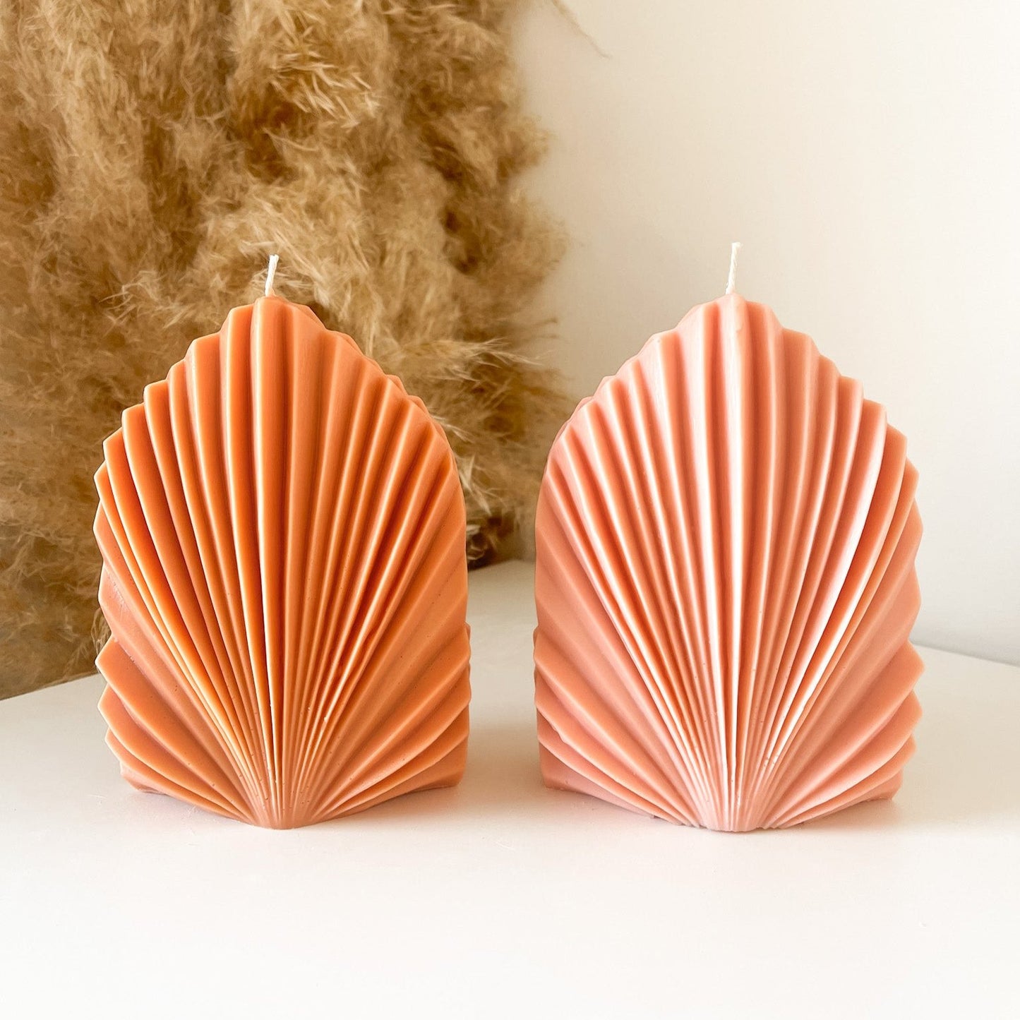 Palm Spear